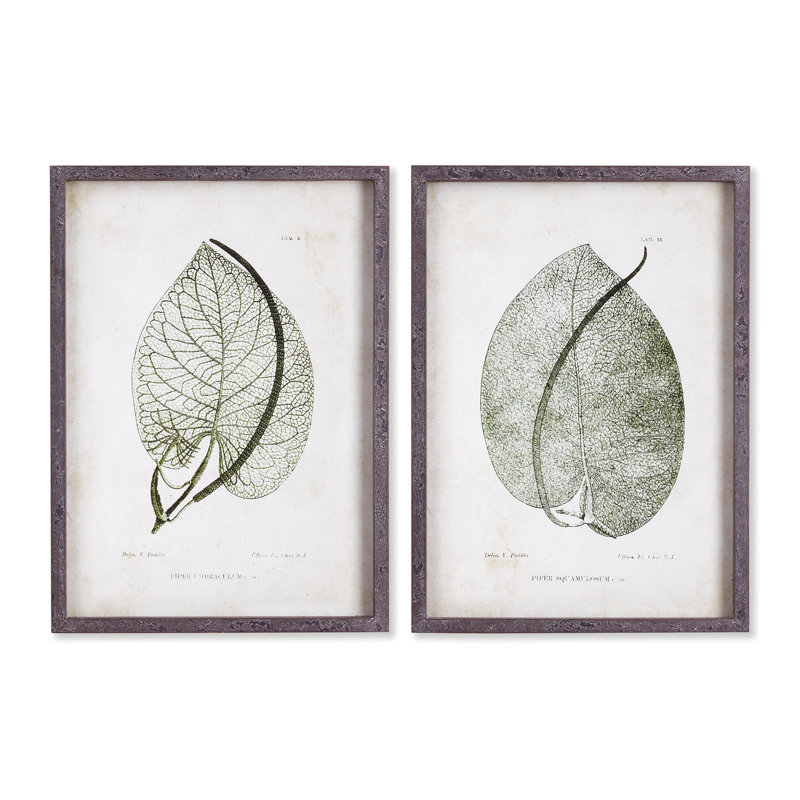 Violeta Cordate Leaf Study Prints, Set of 2