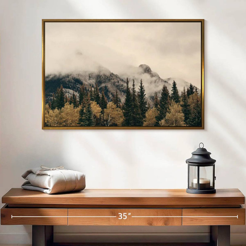 Foggy Banff National Park, Cadre flottant doré, 25 po x 17 po