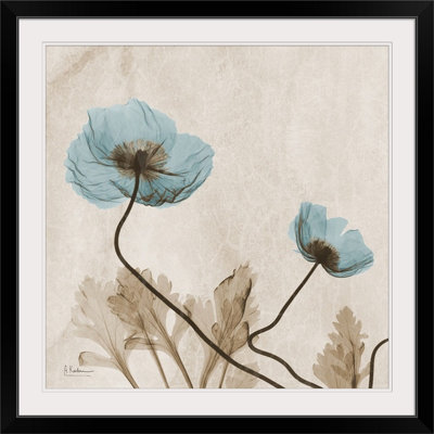 Manigault 'Poppy X-Ray by Kiranjit Photographic Print