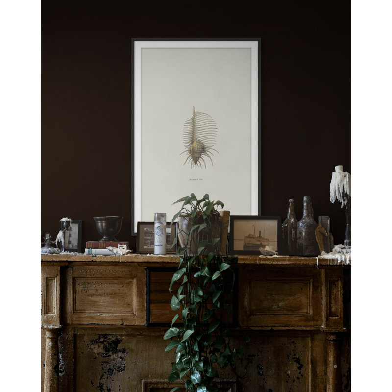 Sundry Murex 2 Framed Print, 39.54" H x 25.54" W