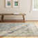 Delyse Oriental Indoor Rug
