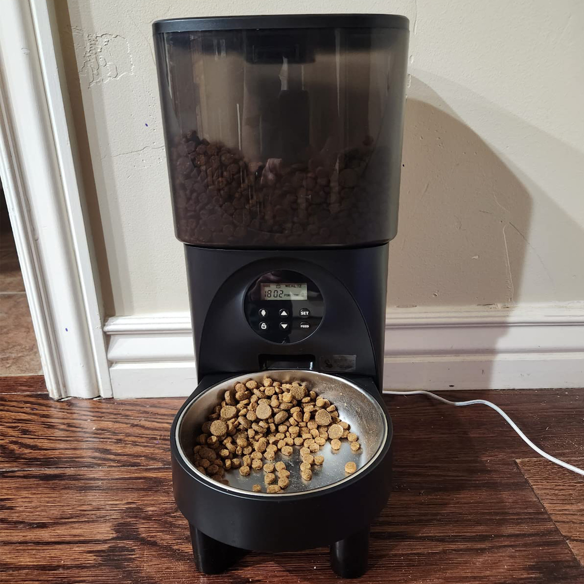 Automatic dry outlet food dispenser