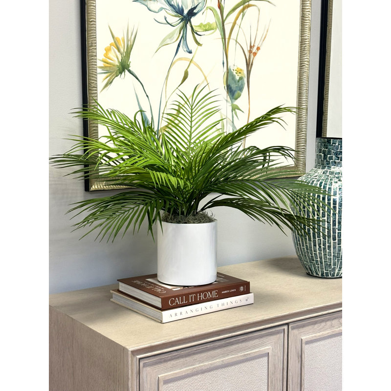 Outdoor UV Rated Palm in Fiberstone Pot