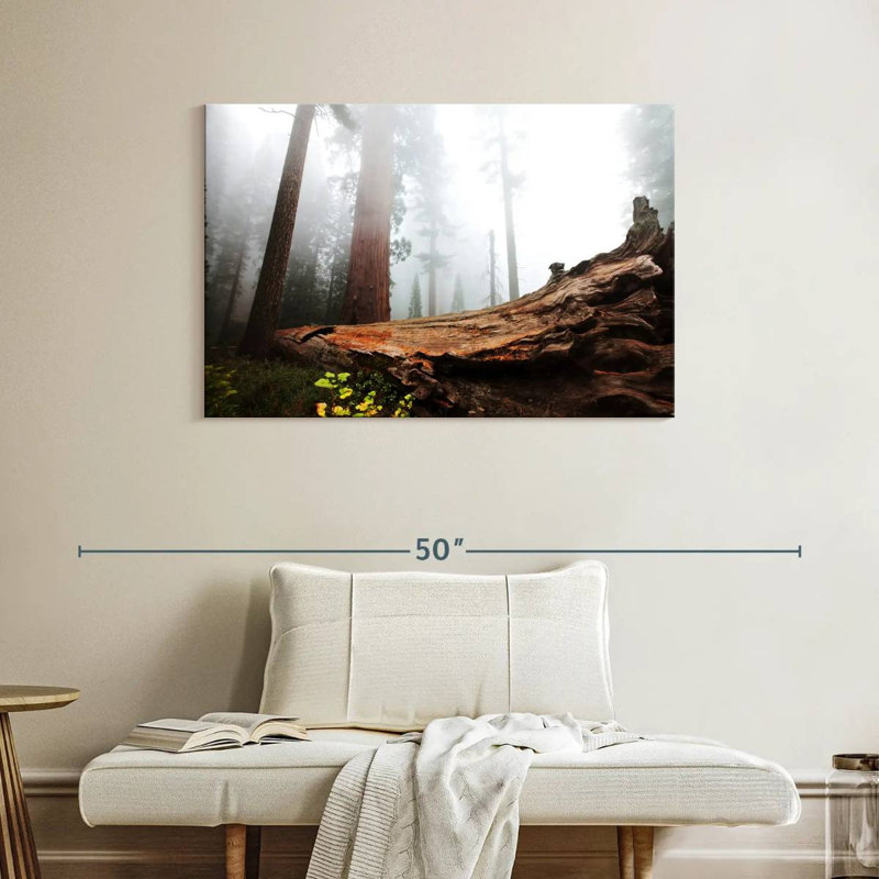 Harnek Fallen Sequoia Tree, 26'' H x 39'' W