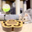 Jouet interactif pour chat