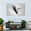 Small Hummingbird Black And White-108875818