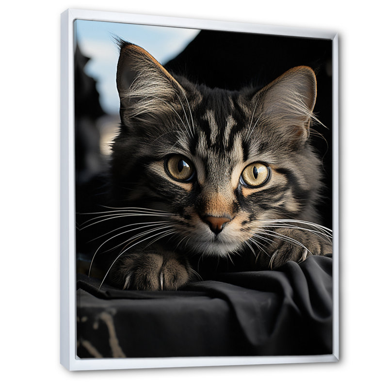 Portrait de chat Atascosa IV - reproduction, H 44 po x l 34 po x P 1,5 po, Cadre flottant blanc