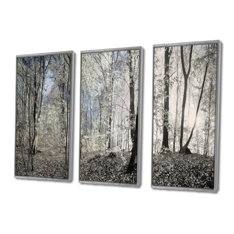 «Dark Morning In Forest Panorama», ensemble d'art mural sur toile encadré paysage, H 32 po x l 48 po x P 1 po, Argent argent