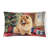 Other/No Pattern Outdoor Throw Pillow