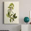 Olive Greenery III - peinture sur toile tendue-893476504