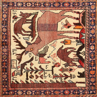 Southwestern Indoor Rug