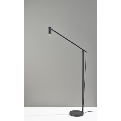 Newman 58'' LED Task Floor Lamp