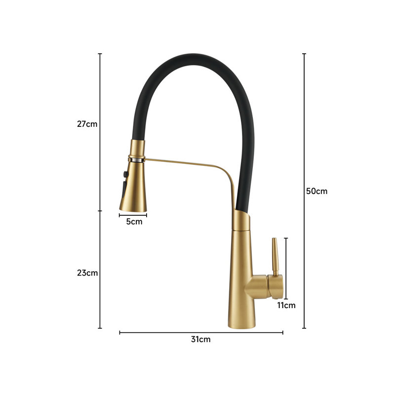 Belfry Kitchen Hyuk Kitchen Faucet, Gold