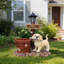 Statue de jardin Labrador