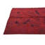 Tapis rouge Pullman