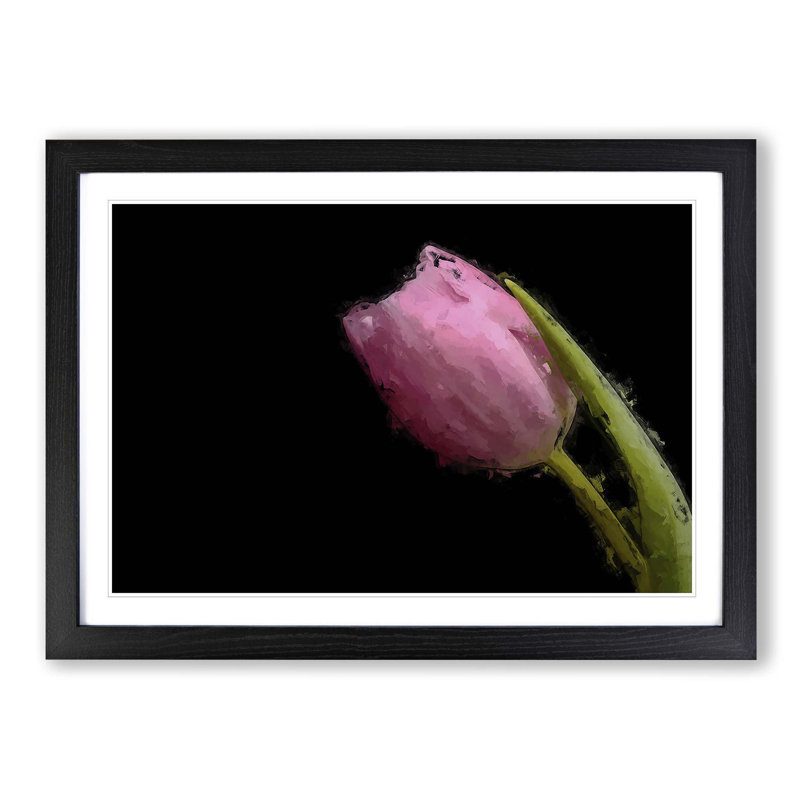 Pale Pink Tulip in Abstract - Picture Frame Painting Print, 36cm H x 48cm W x 2cm D, Black Framed