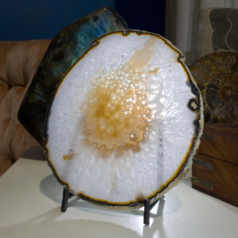 Picturesque Polished Thin Agate Plate