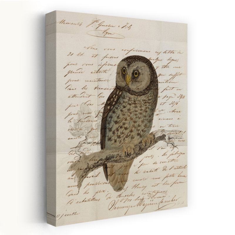 Hibou boréal, H 60 po x l 40 po