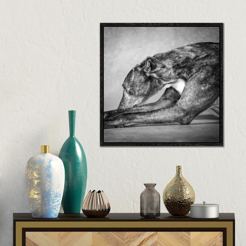 Portrait Of A Greyhound Dog by Panoramic Images - Floater Frame Gallery-Wrapped Canvas Giclée on Canvas, Black