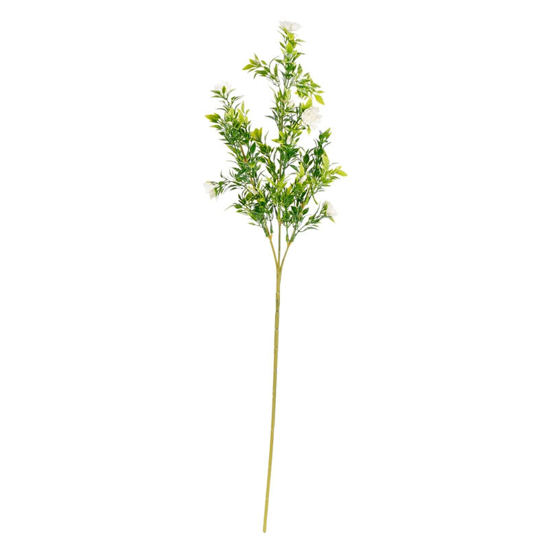 Arrangement