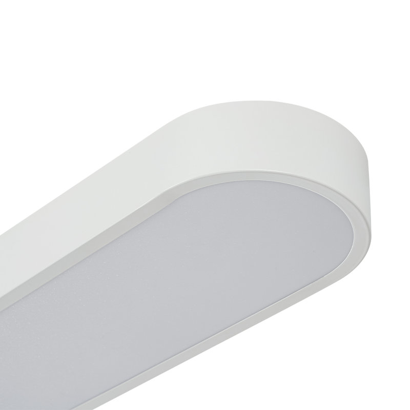 Minimalist 31.5" Simple Long Oval Led Flush Mount, White