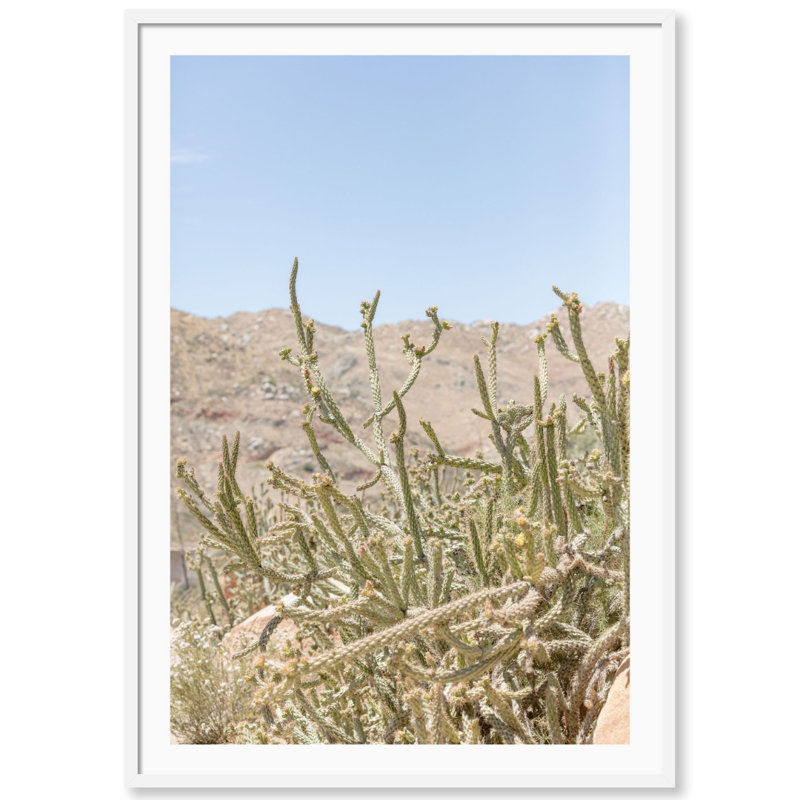 Baja California Print by Carly Tabak, 18" W x 25" H, White Wood