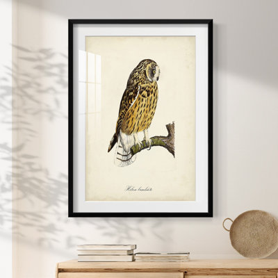 Gunsby -Gallery Wrapped Canvas