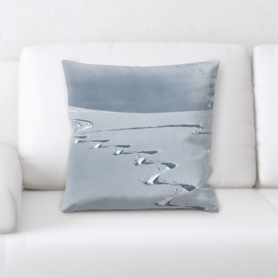 Coussin wintry