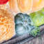 Décoration de 20,25 po «Happy Thanksgiving» pour dinde et citrouilles