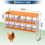 Chicken Coop
