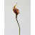 Rustic Bronze n'est pas disponible
