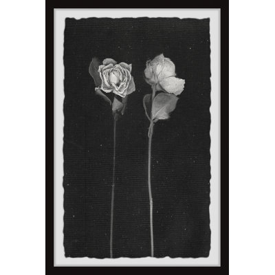 Garden Beauties - Single Picture Frame Painting
