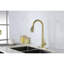 Robinet de cuisine doré avec tirette - empreinte digitale, installation sur une plate-forme à un trou, douchette pivotante à 360 °, douchette rétractable en acier inoxydable doré, fixation, bec rotatif, acier-616748778