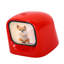 Al Desk Robot Companion Emotion Reconnaissance Animal de compagnie partenaire pour voiture rouge-183859990