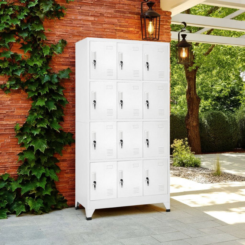 Armoire à casier avec compartiments de rangement à 12 casiers, acier gris ardoise