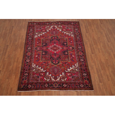 Vegetable Dye Traditional Area Rug 7x10