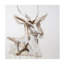 Deer Head Study II Painting by Mia Malcolm Studio-26729159-26729163