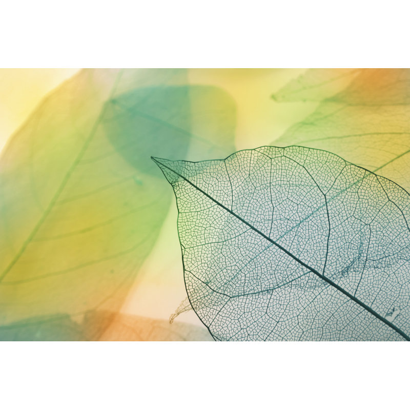 Macro Leaves - Wrapped Canvas Print, 81cm H x 122cm W