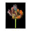 «Blooming Multicolor Fractal Flower», art mural moderne sur toile-473392593-473392600