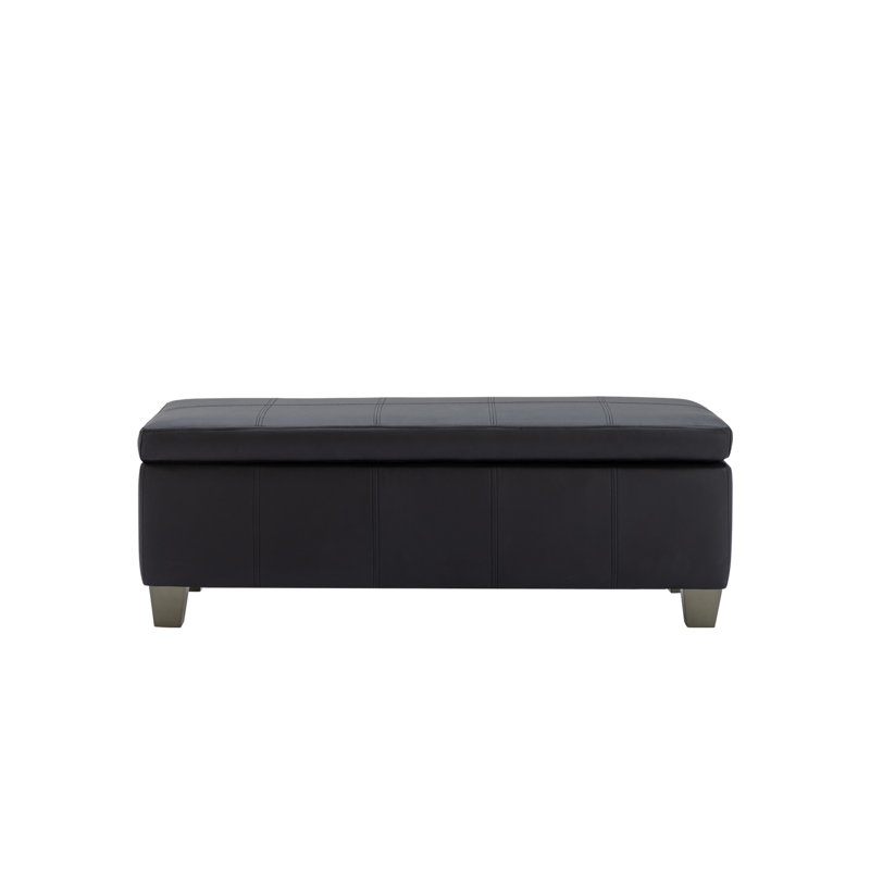 Repose-pieds de rangement rectangulaire avec charnière de sécurité de 41 po Demingo, Noir