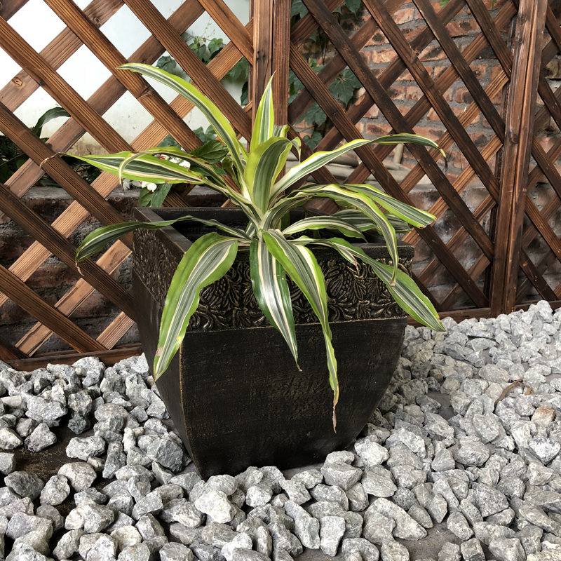 Boîte à fleurs Burford, H 12 po x l 11 po x P 11 po, Gris clair délavé
