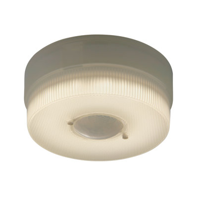 Plastic LED Flush Mount