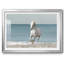 Camargue Beach Horse encadré sur papier-224793489-224793517