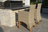 Birch Lane™ Nicole Patio Dining Armchair with Cushion | Birch Lane