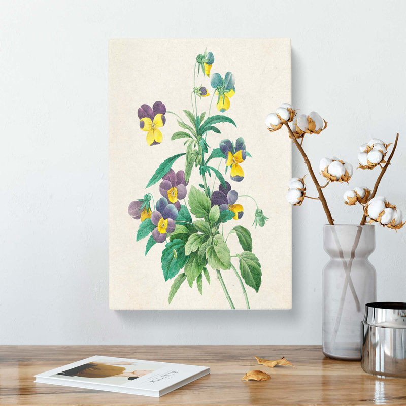Wild Pansy Flowers by Pierre-Joseph Redoute - Wrapped Canvas Painting, 50cm H x 35cm W x 3cm D