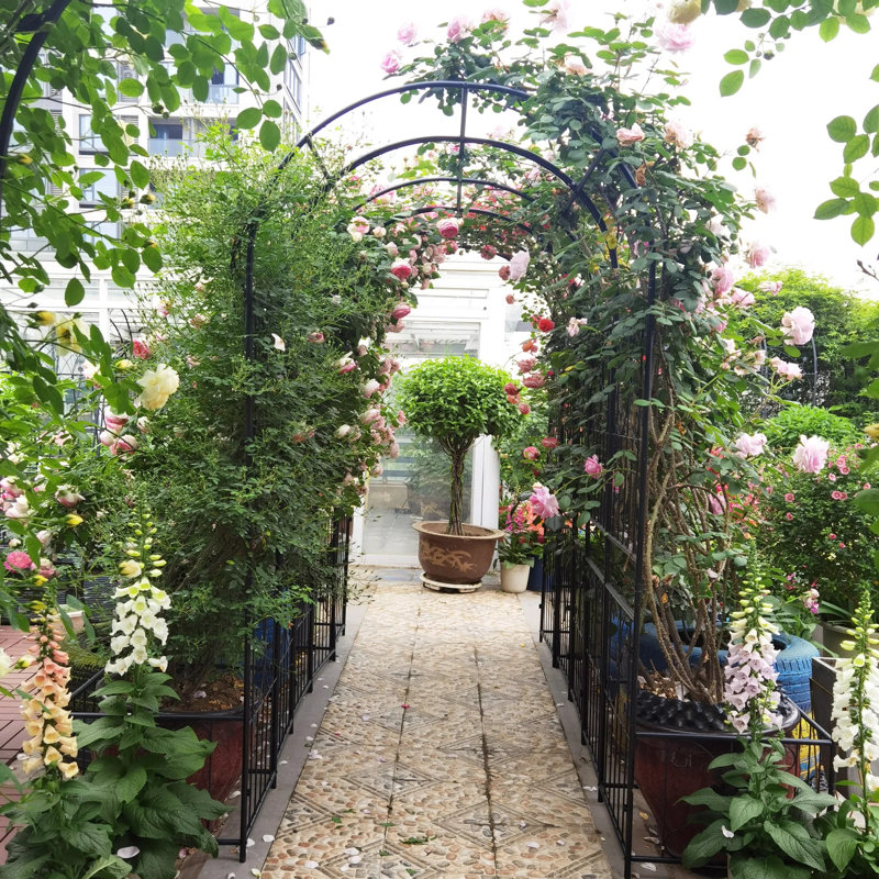 Arche de jardin en métal avec deux supports à plantes - Support pour plantes grimpantes de 79,5 po de largeur x 86,6 po de hauteur, tonnelle d'extérieur, noir