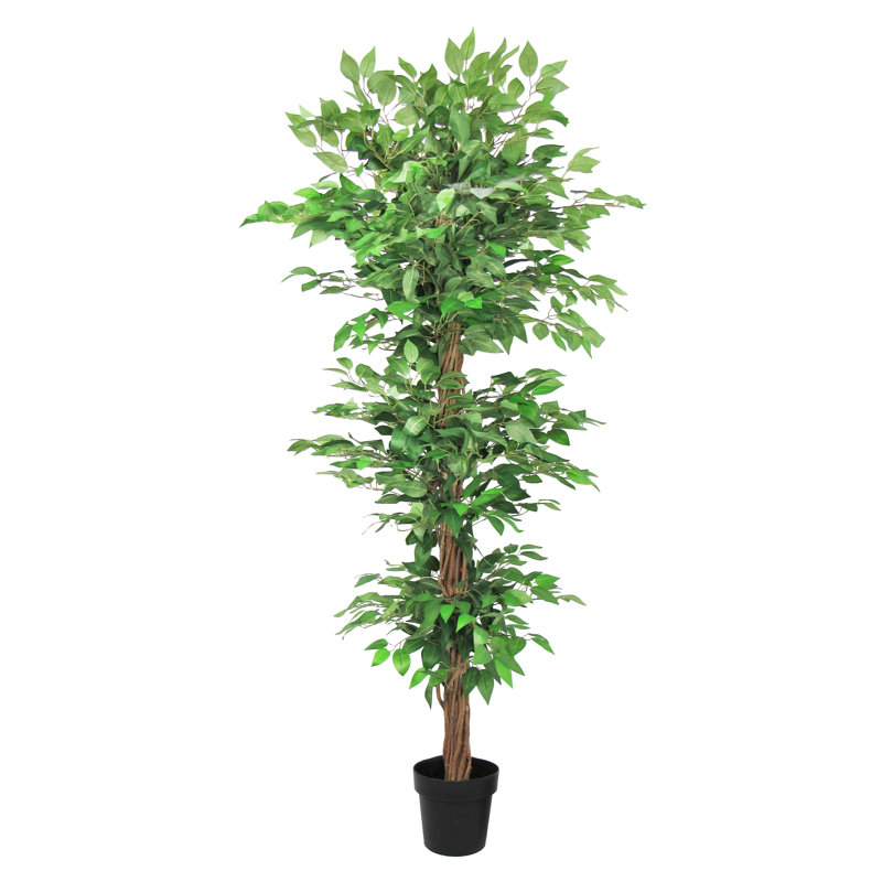 72" Artificial Ficus Tree in Pot