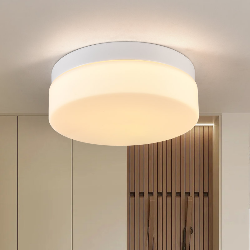 LED Flush Mount Ceiling Light with Glass, White
