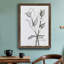 Charcoal Foliage II - Impression de cadre photo sur papier-1359303460-1359303473
