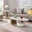 Nesting Coffee Table Set of 2-2014807436-2018589031